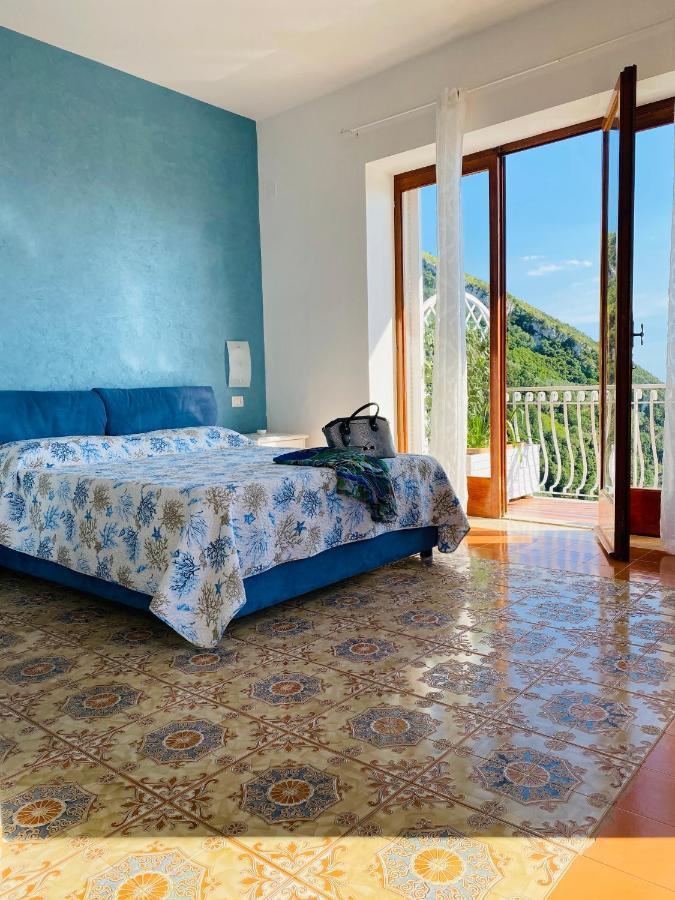 Acquamarina Accommodation マッサ・ルブレンセ エクステリア 写真